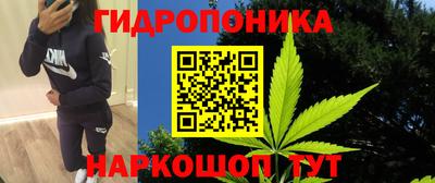 молекула духа Ливны