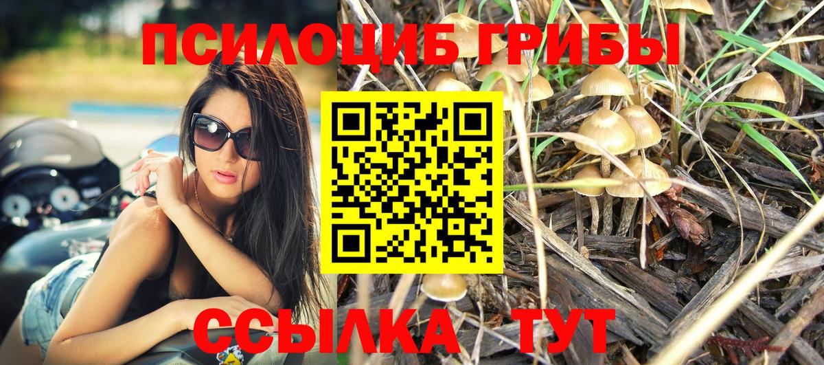 Галлюциногенные грибы Cubensis  Вход с VPN  Егорьевск 